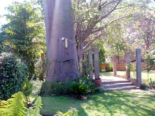 Nkhudzi Beach Lodge Nkudzi Exteriér fotografie