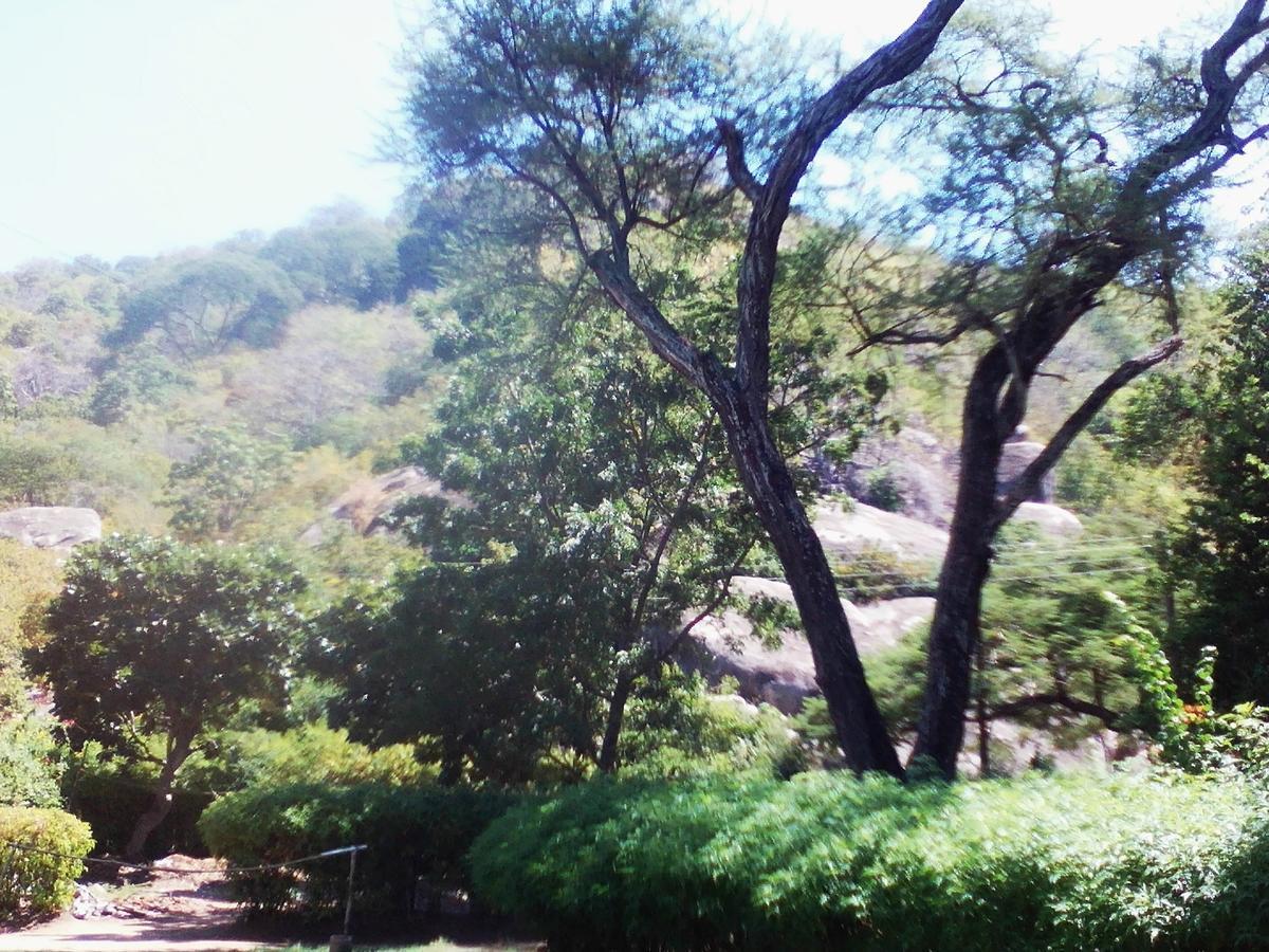 Nkhudzi Beach Lodge Nkudzi Exteriér fotografie